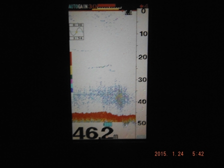 ���m�Ȃ锽���B