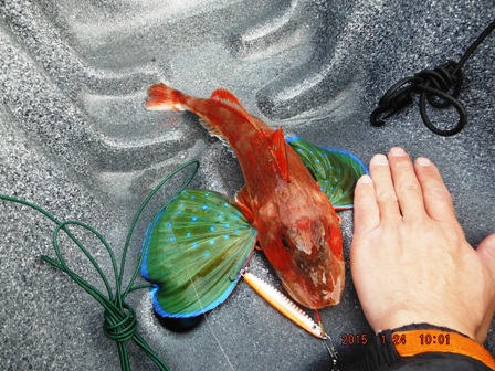 �y�Y�f�d�s