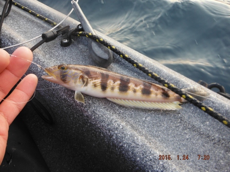 �L�[�v�Ɏ����