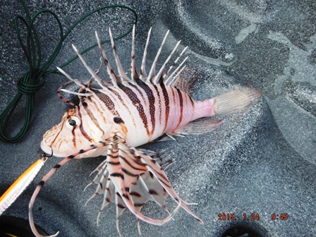 ���������q������