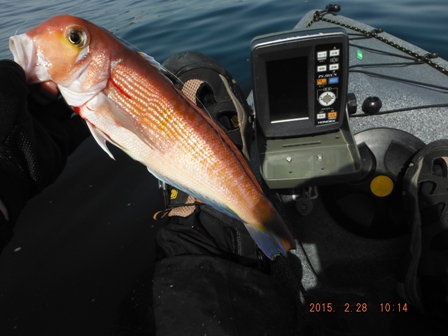 �悤�₭�L�[�v