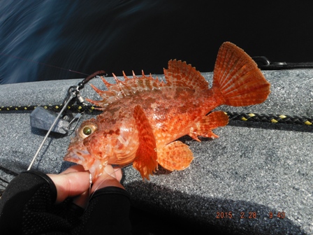 �����[�X�ς�