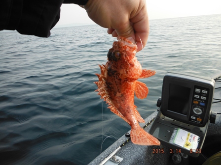 ������