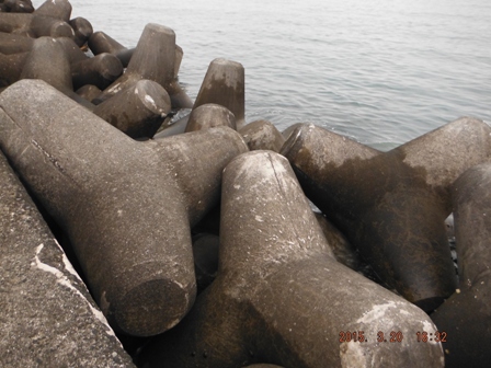 ���N���̗��Ƃ�����