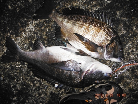 �W�A�C�Ŏ~�߂Ă����΂悩����