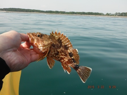 �����[�X