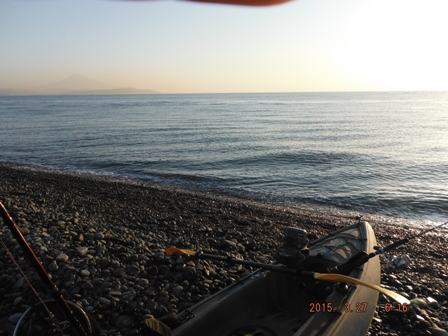 ���₩�ȕl��