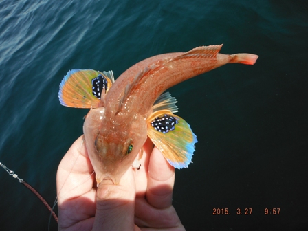 �����[�X�ς�