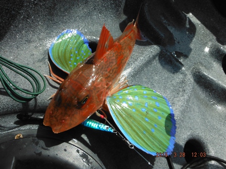 �^���a�ł̒މ�