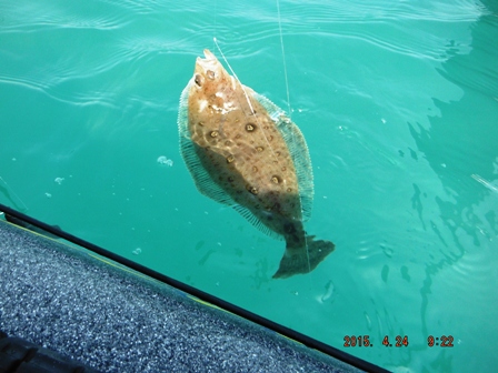 �����������[�X�T�C�Y