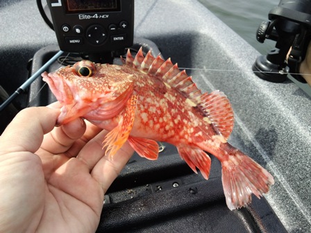 ������y�Y�������{�E�Y