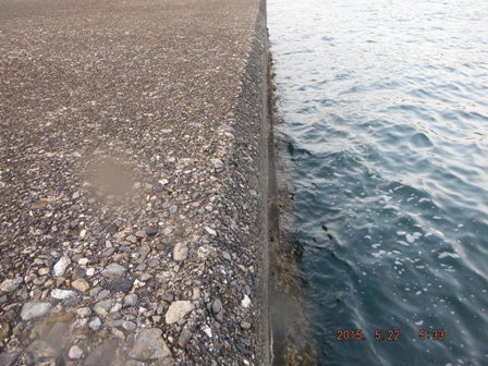 �������߂���h