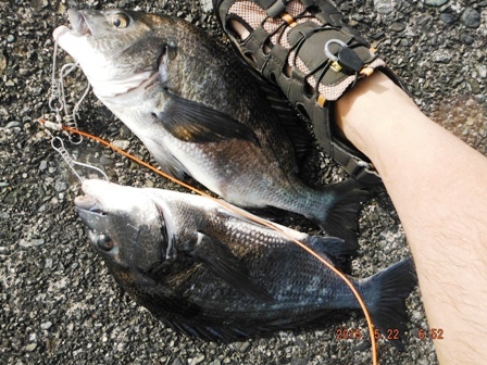 �y�Y�f�d�s