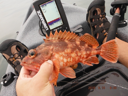 �C�}�C�`������