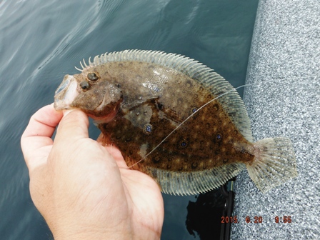 �����[�X�ς�