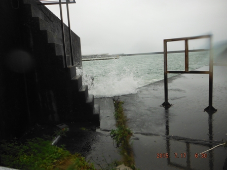 �䕗�ōr��͗l