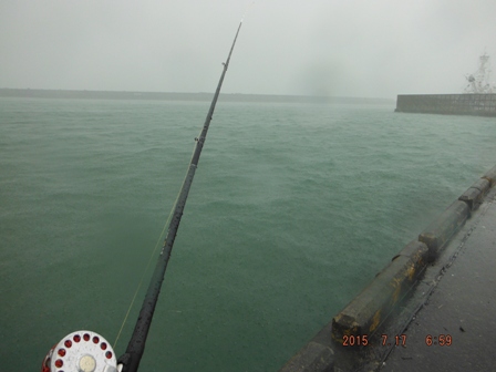 �����̏��ނ�