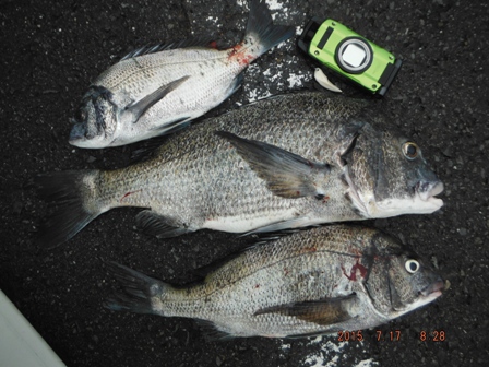 �ǂ݂��I��