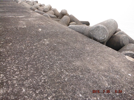 �{�E�Y���܂���