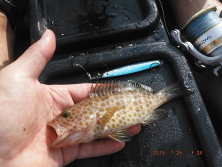 �����[�X�ς�