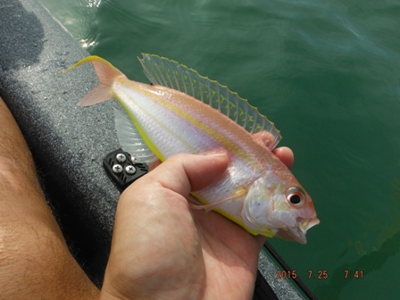 �����[�X�ς�