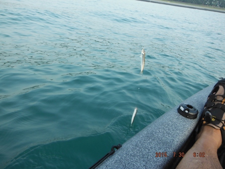 �x�C�g������