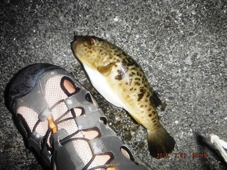 �q�K���t�O