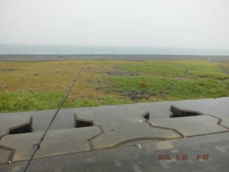 ����ς�{�E�Y����