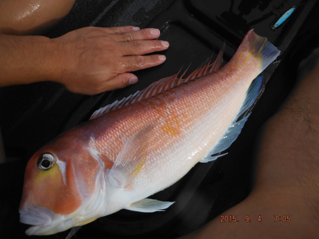 �\�z�O�͂S�W�b��