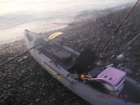 �o�`���̗l�q