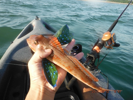 �L�[�v�Ɏ��炸