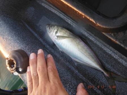 �P���ځi����Ƀ����[�X�j