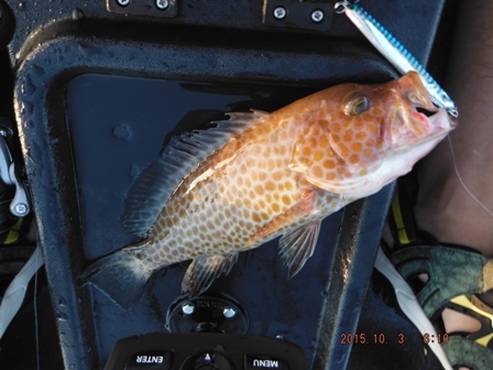 �����[�X�ς�