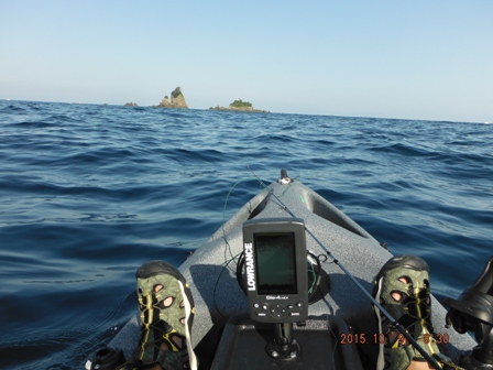 ��N�Ԃ�̌i�F