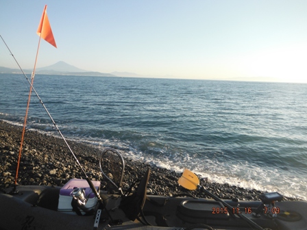 �x�^�⁕����