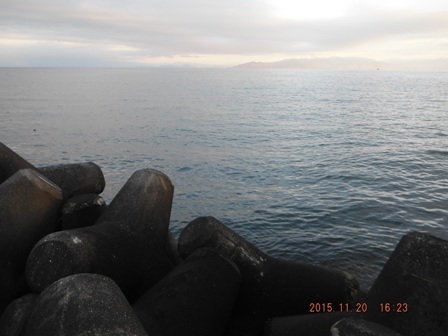 �v�X�̗����ς�