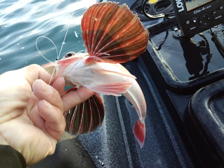 �z�E�{�E�������[�X