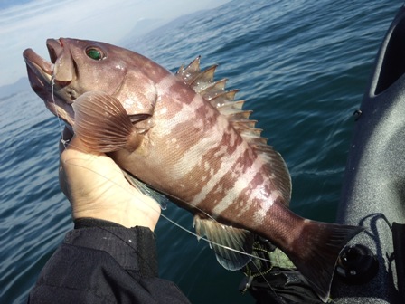 �}�n�^�ዛ���L�[�v