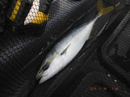 �{���P����