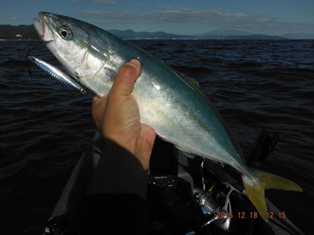 ��ۋ�����������