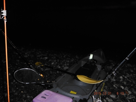 �C���͏\��