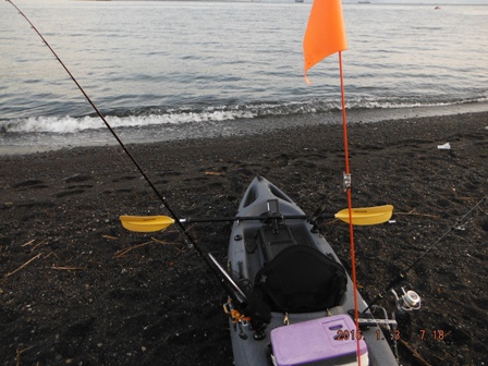 ���ނ�͐����̊C