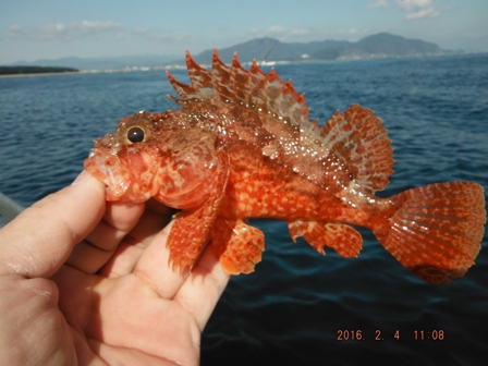 �����[�X�T�C�Y