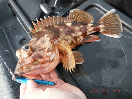 ���������傫���̂����]