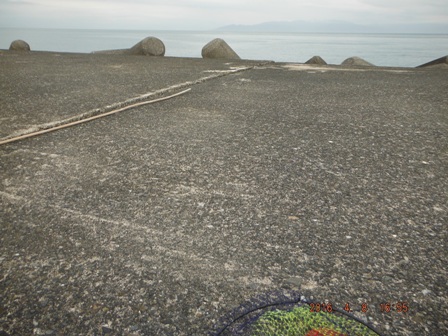 ���N���̒ނ��