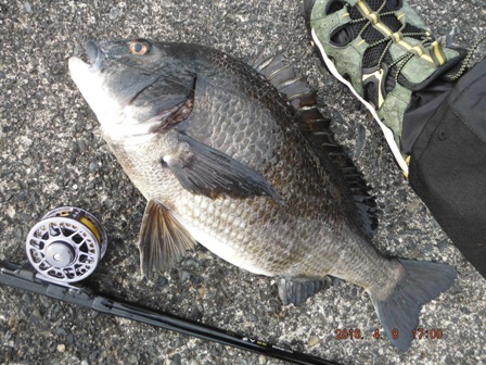 �����̂P����