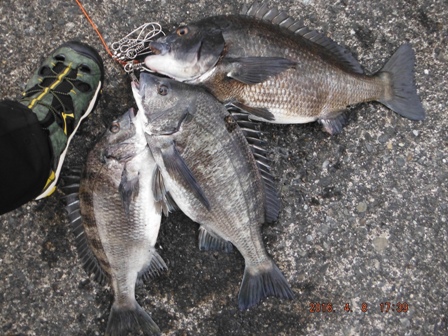 �����̌���