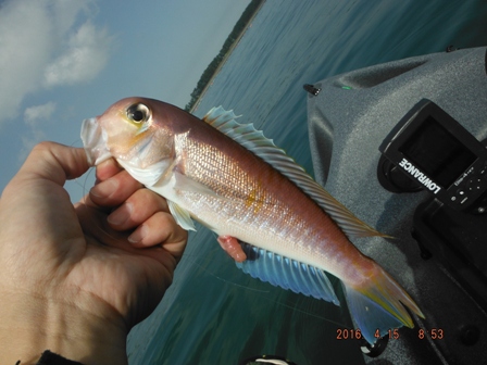 �B��̓y�Y��