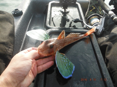 �����[�X�ς�