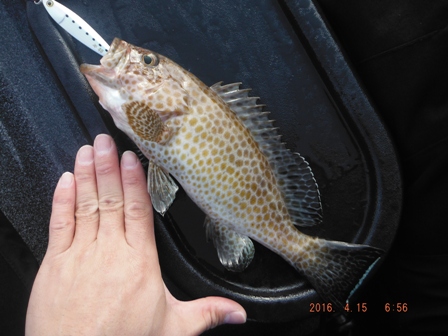 �����[�X�ς�